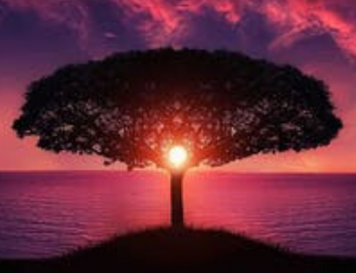 We all have the opportunity to live abundantly.